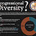 How Representative is the 116th Congress?