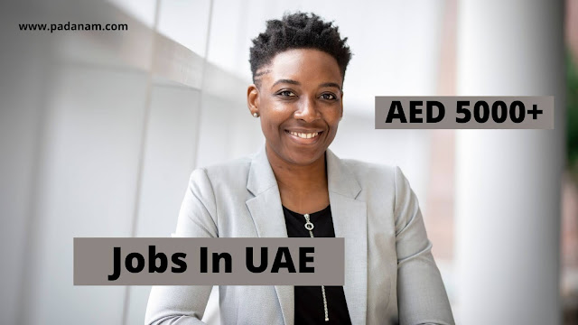Jobs in UAE | MEP Engineer/BDM/HR officer/ iOS developer| Salary AED 5000+| March 17 Update