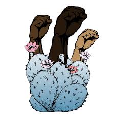 BLACK PHX ORGANIZING COLLECTIVE