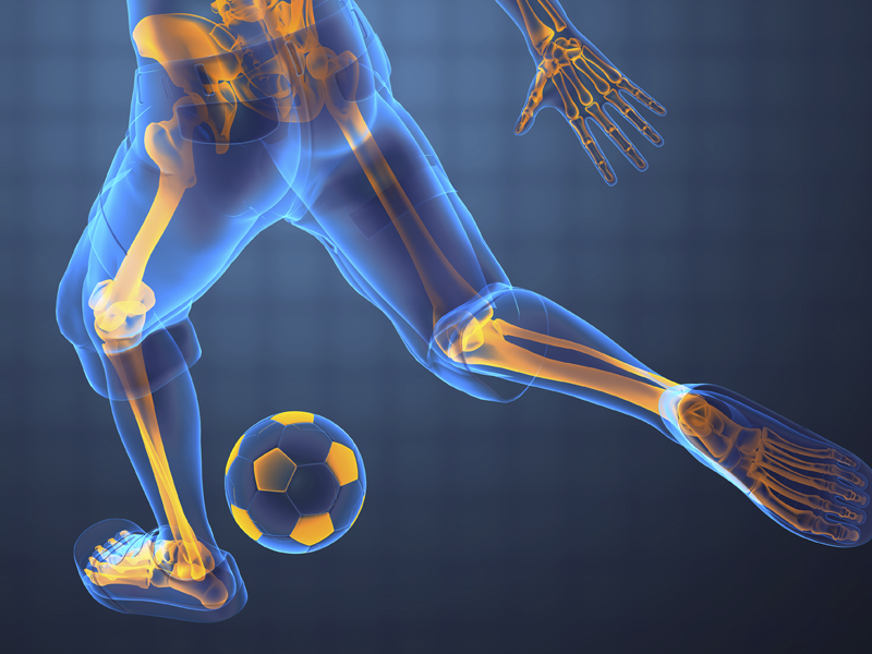 Orthopedic Sports Medicine Professionals - What You Can Expect From Them