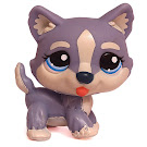 Littlest Pet Shop Globes Husky (#1684) Pet