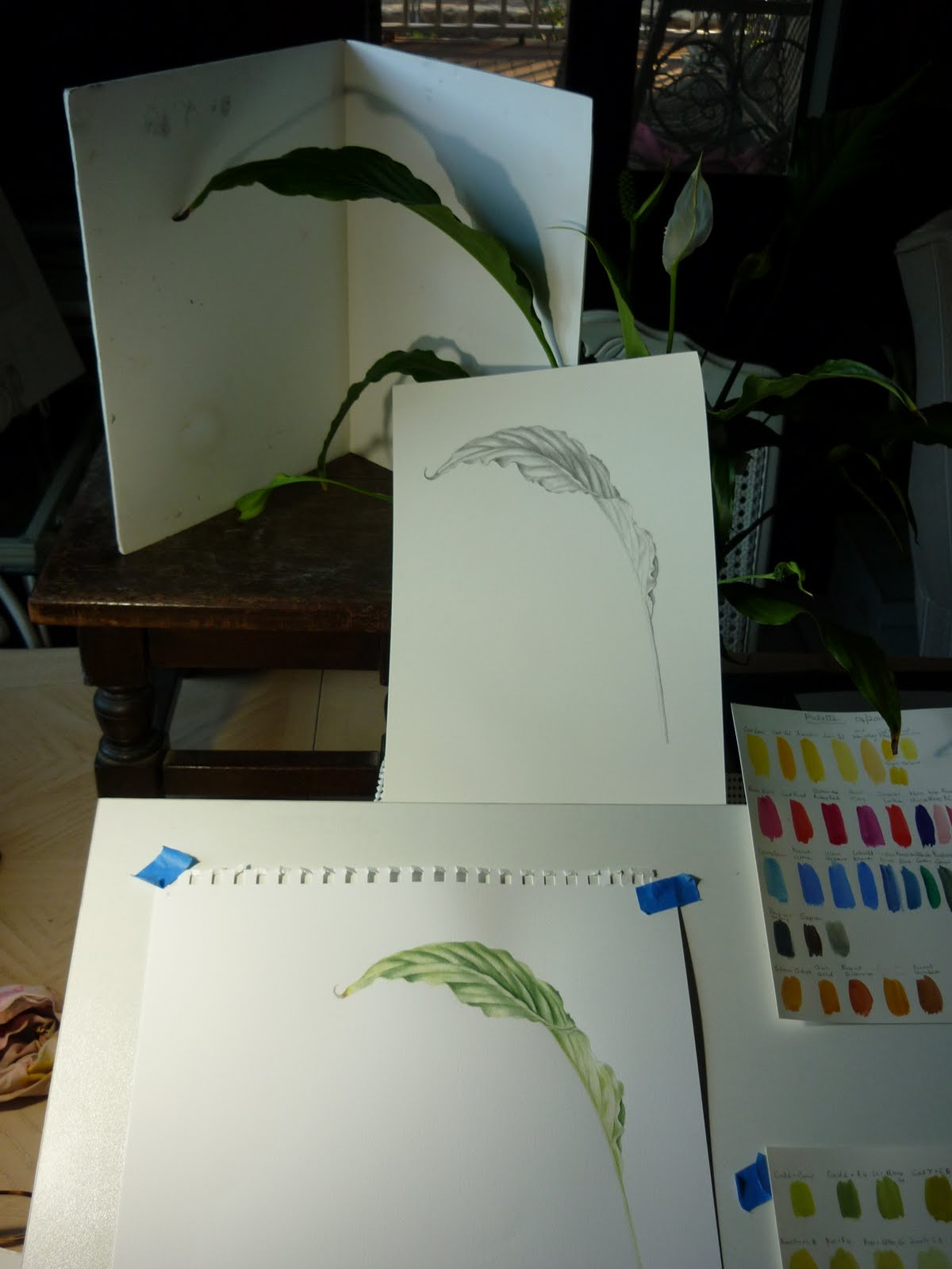 Vicki Lee Johnston Botanical Art SBA Diploma Distance Course Leaf Page