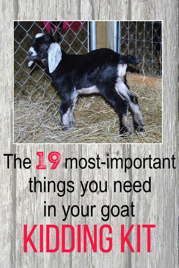 19 Important Items to Include in Your Goat Birthing Kit (Free Printable