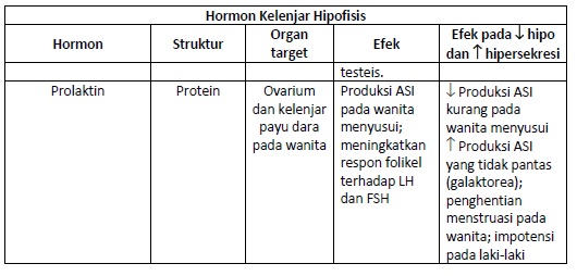 Daftar Hormon Hipofise, Struktur dan Efek Yang Ditimbulkan.