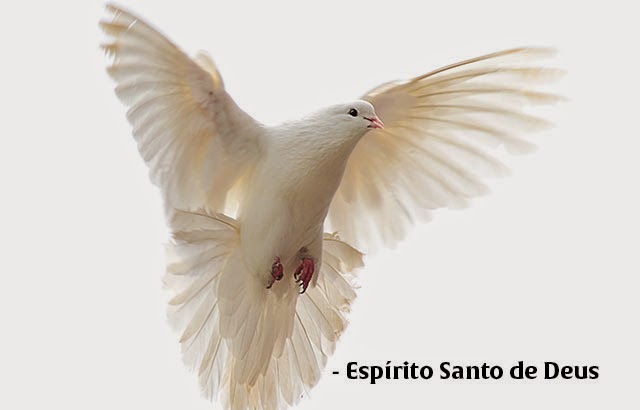 O Espírito Santo Vai Falar Com Você - Clique Aqui e Veja deixa o espirito santo de deus falar com voce - O Espírito Santo Vai Falar Com Você - Clique Aqui e Veja