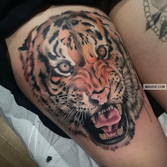 11+ Terpopuler Gambar Tato Harimau Di Dada, Gambar Tato