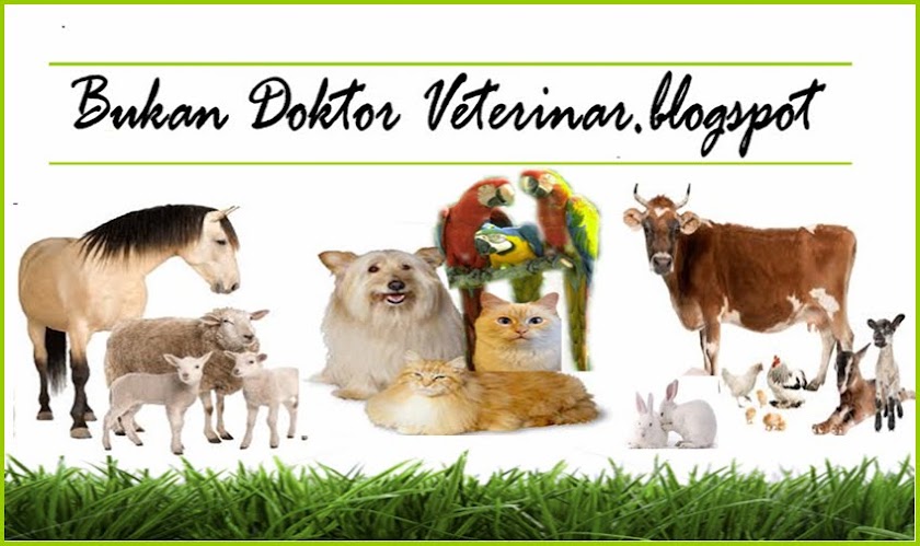 bukan doktor veterinar