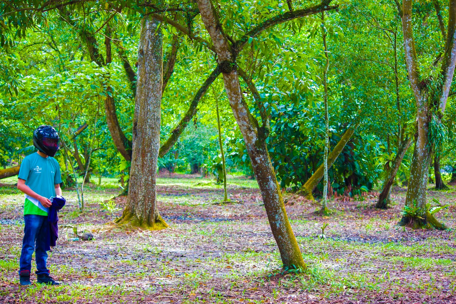 Fotografer Profesional : Hasil Fotografer Terbaik