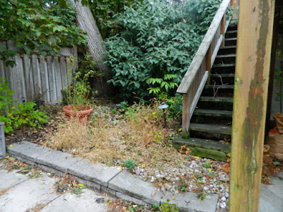 Toronto Beach Hill Fall Garden Cleanup Before by Paul Jung Gardening Services--a Toronto Organic Gardening Company Toronto Beach Hill Fall Garden Cleanup Before by Paul Jung Gardening Services--a Toronto Organic Gardening Company