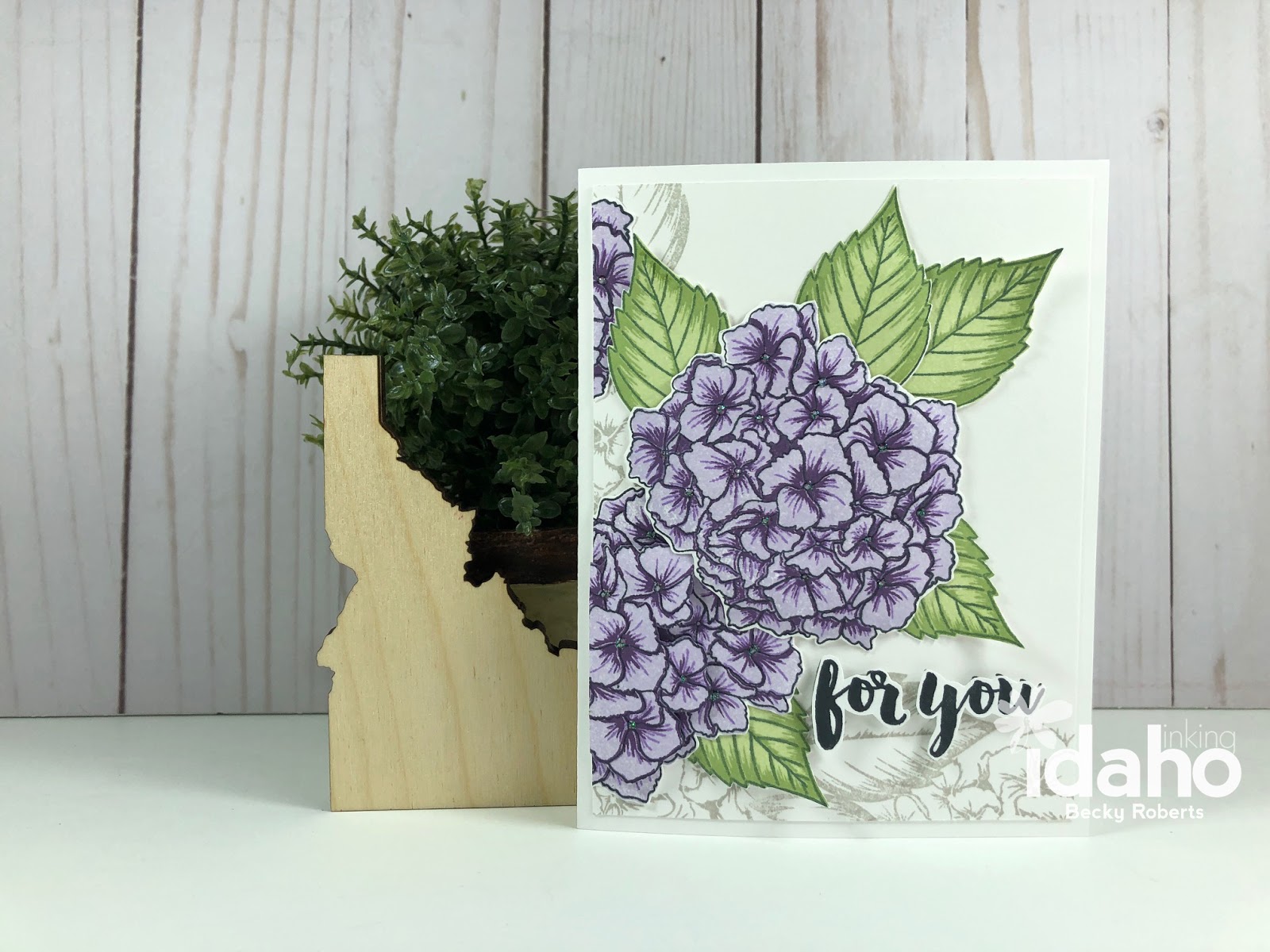 Advice On Pruning Hydrangeas Garden Making