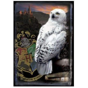 Hedwig Burung Hantu Kesayangan Harry Potter Nafalfa Nama Fiksi Seri