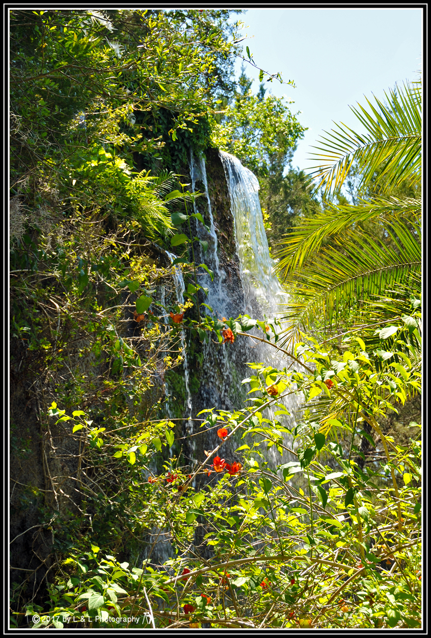 Ocala, Central Florida & Beyond Cedar Lakes Woods & Gardens