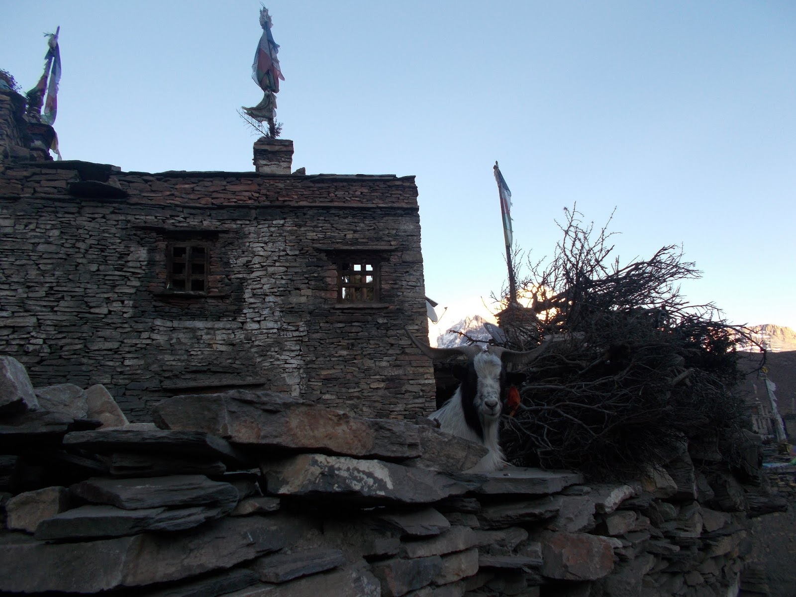 Вокруг Манаслу, долина Цум, Нар-Пу. Непал 2017.