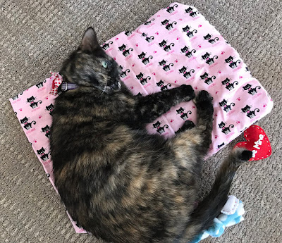 Real Cat Paisley on her kitty mat