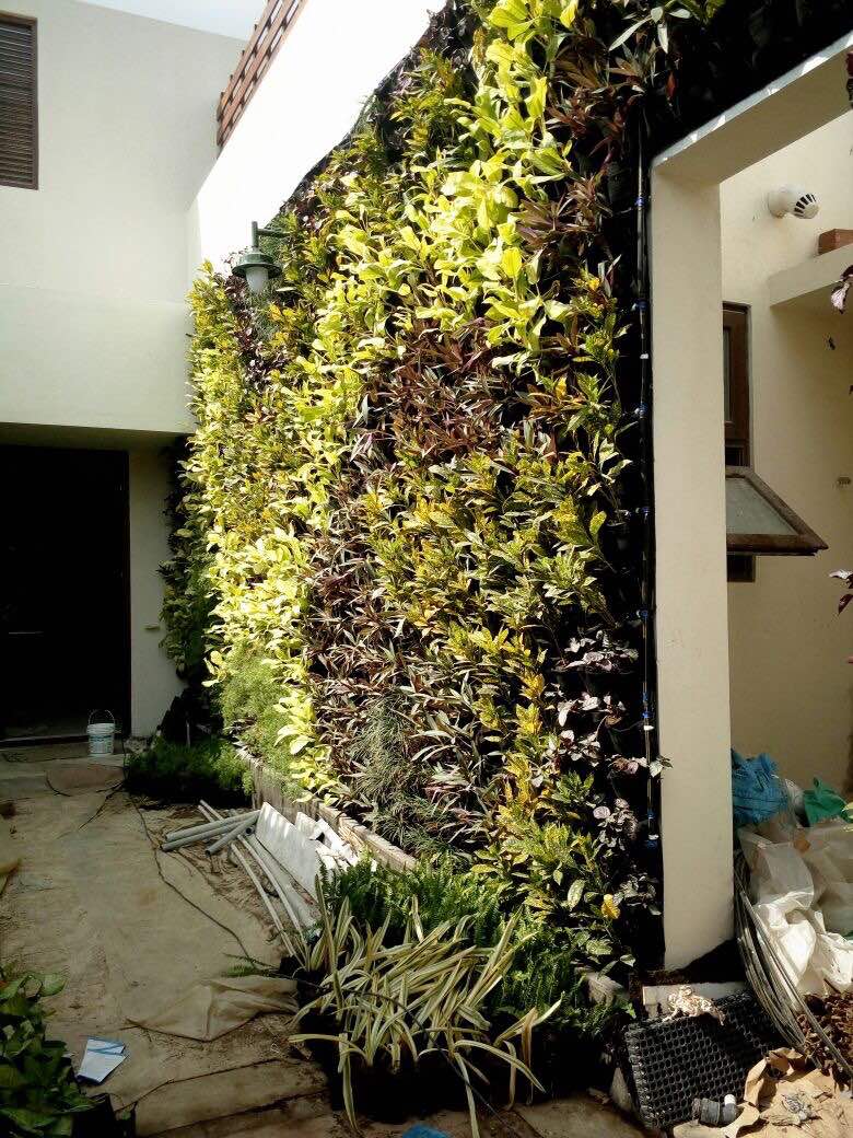 Green Walls India Vertical Gardens Chennai