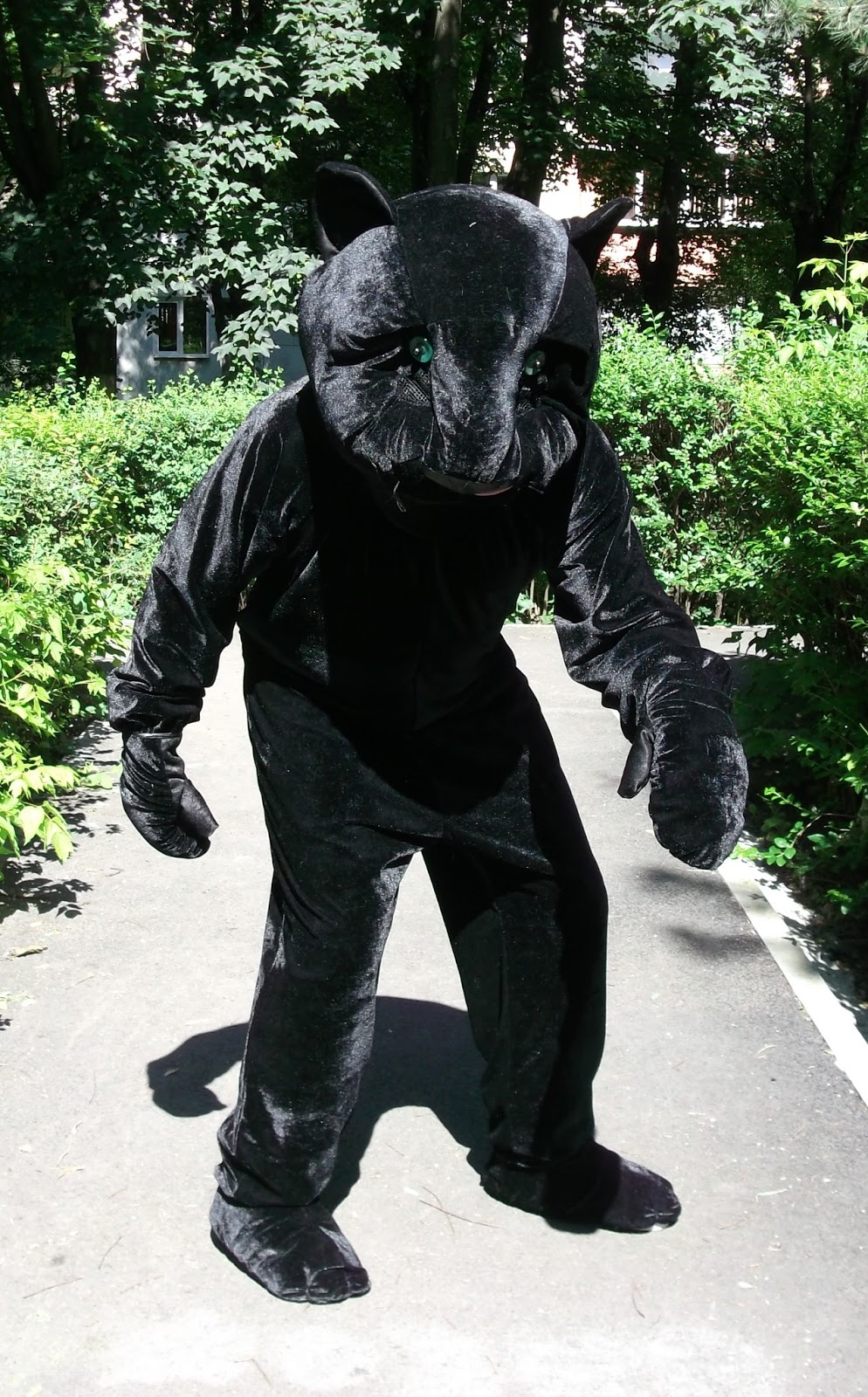 COSTUME MICHI MANOLE: Costum mascota pantera neagra