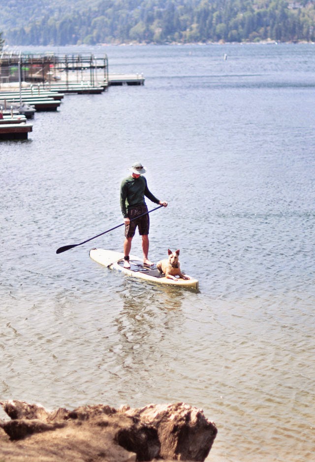 man and his dog paddle boarding, paddle board on the lake