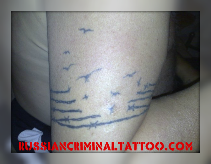 211 Bernard Frontier No 1