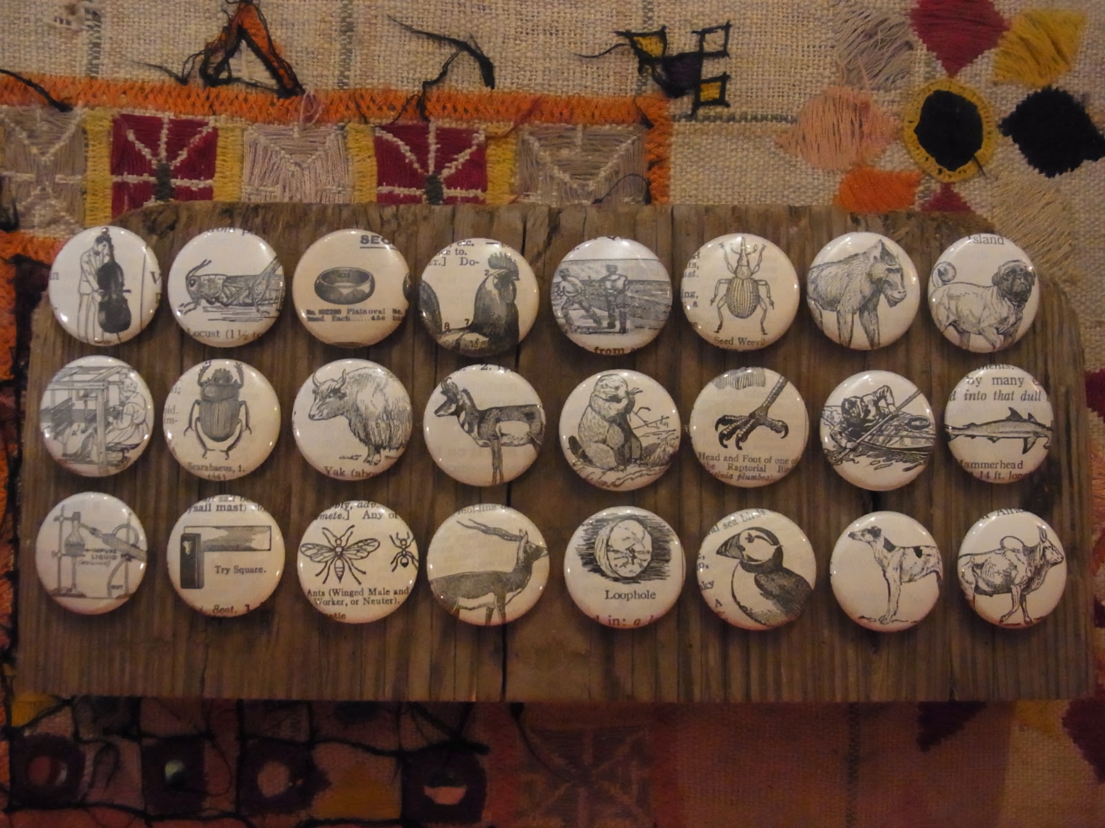 steef 9/7 ② can badge from USA