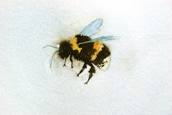 bee bumble painting paintings tattoo bees watercolor drawing honey trees haze watercolour aquarell illustration watercolors row via books park discover