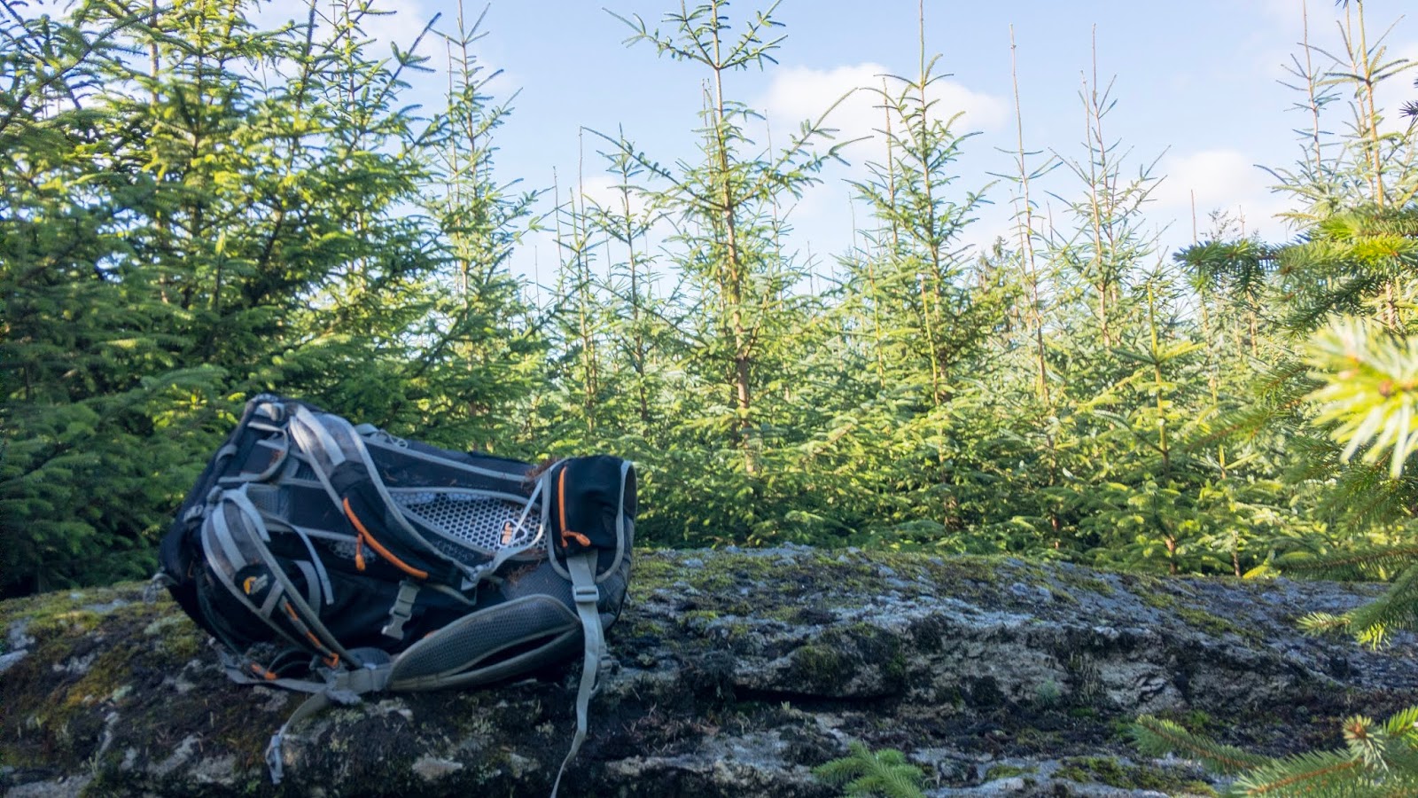 Max Piper Tor Bagger Dartmoor Finding the elusive Lowton Borough Rocks