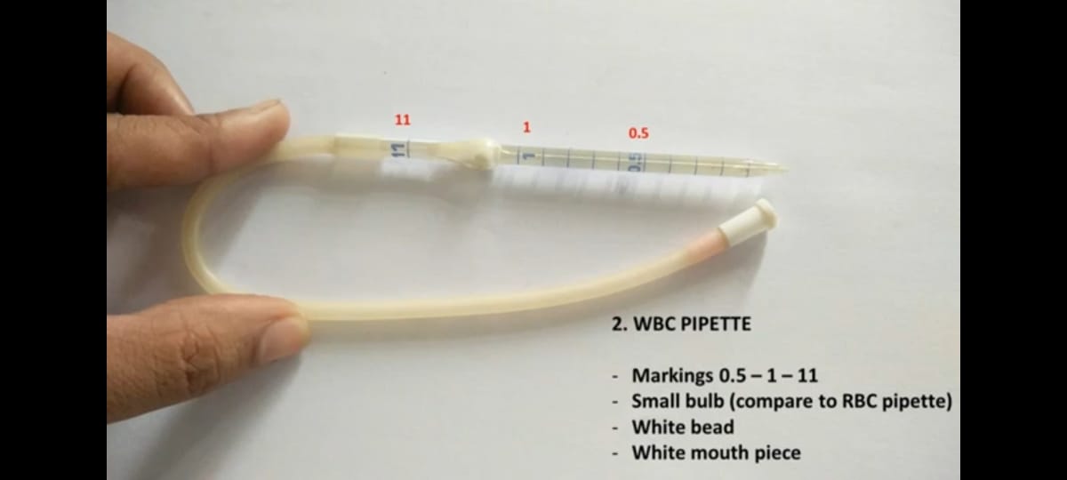 Manual Cell Counting Using Neubauer Chamber RBC Count WBC Count