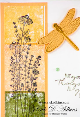 Check out my card today using an unexpected coloring technique and the Dragonfly Garden Stamp Set from Stampin' Up!  Click here to learn more