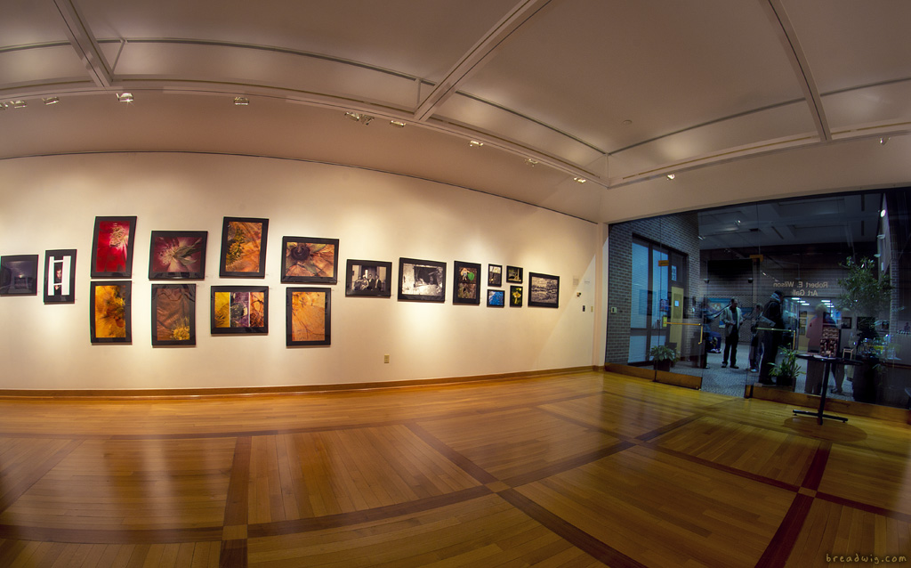 Ciep Photography Art Gallery Photography