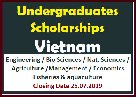 Undergraduates Scholarships  - Vietnam