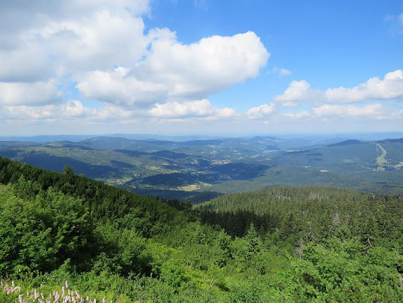 Widok na Zawoję zawoja