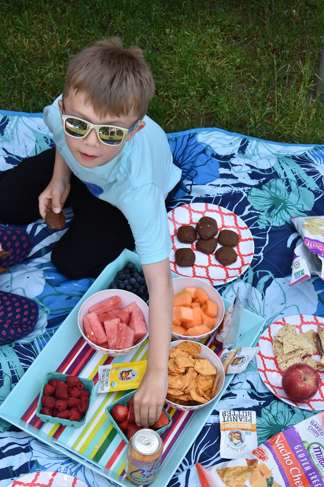 Easy Picnic Foods for Gluten Free and Dairy Free Families Living