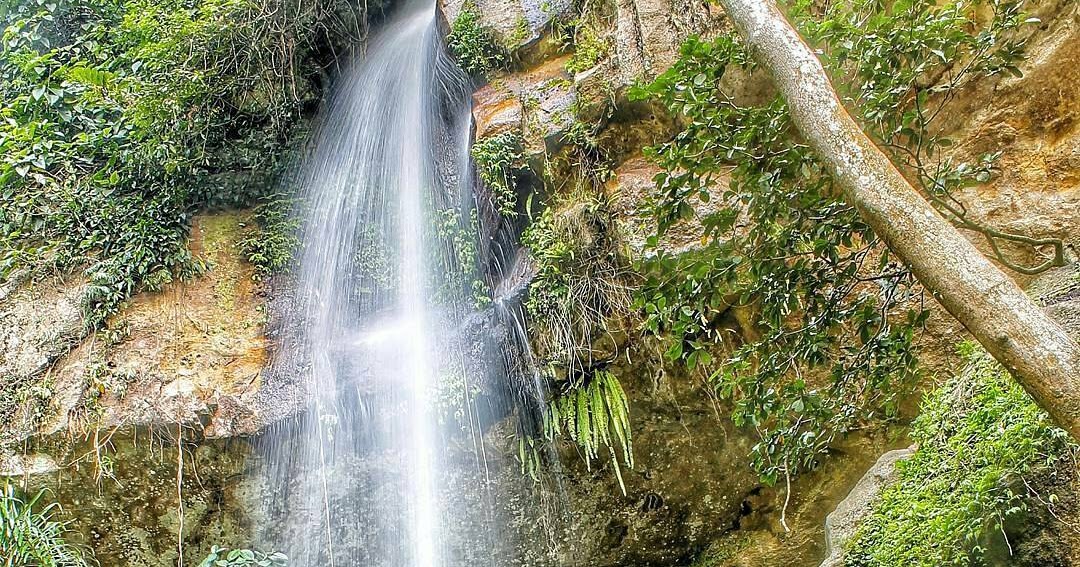 Reje Ilang, Surga Tersembunyi Di Bener Meriah