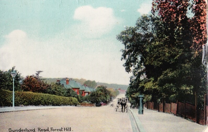 Forest Hill