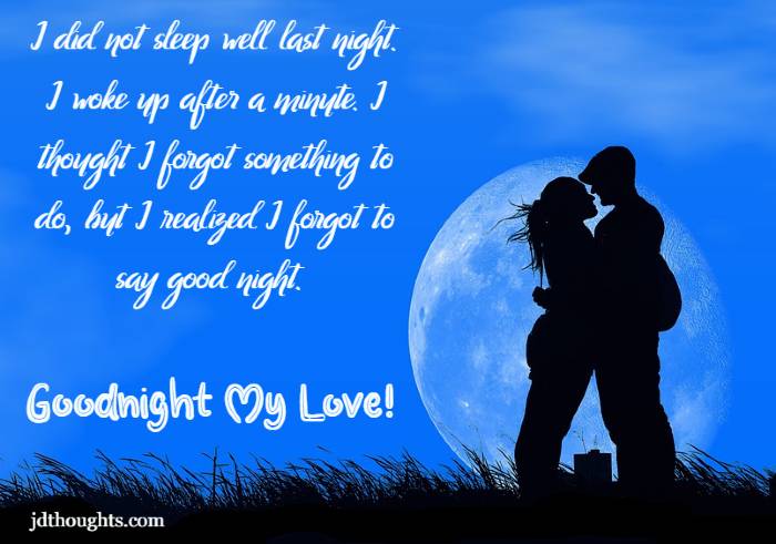 Best ‘Good night love’ and ‘Good night love you’ messages quotes with ...