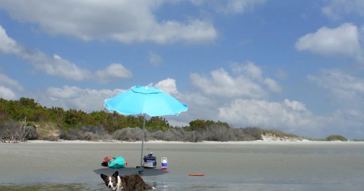 A Tail of Two Cardis The Water Was Warm on Wilson's Wordless Wednesday