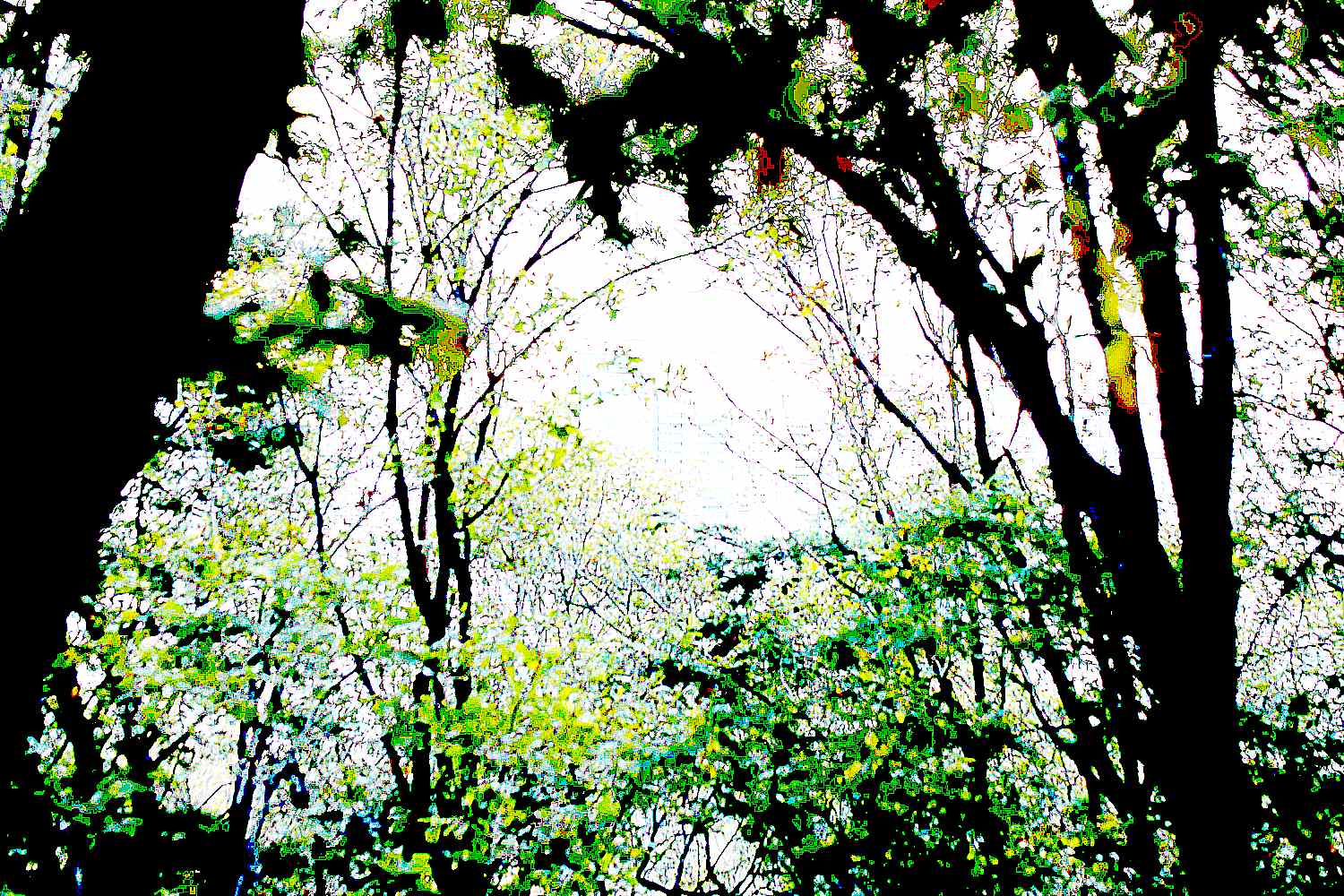 삼각산 화계사 삼각산 화계사