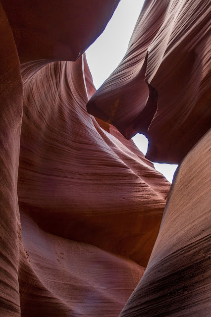 Antelope Canyon shark