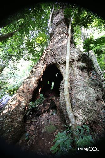 Kinh nghiệm du lịch vườn quốc gia Ba Vì
