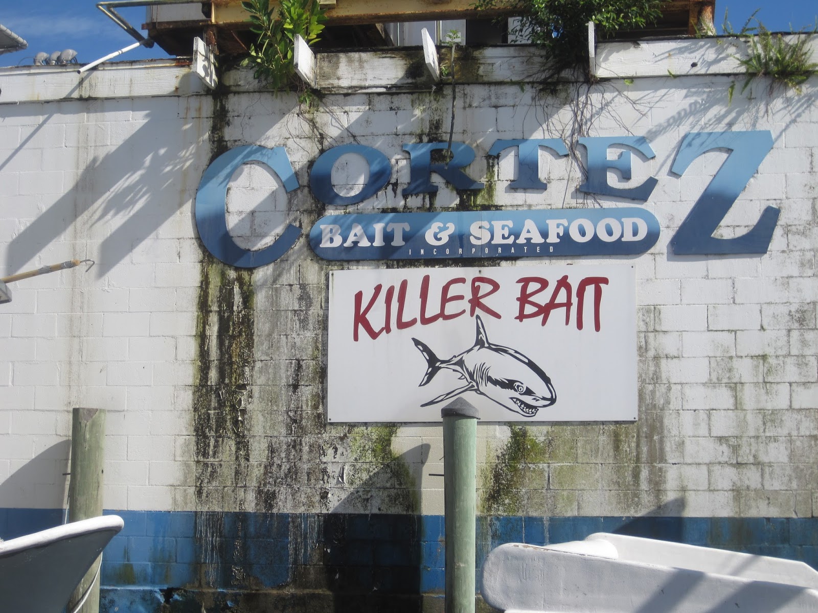Boating with Sunset Delight Florida Anna Maria Island Cortez