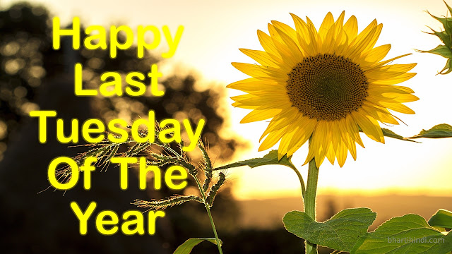 Last Tuesday Of The Year Happy Last Tuesday Of The Year 2018 Image