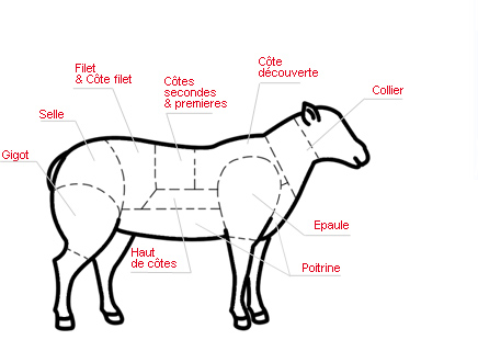 les différents morceaux du mouton et de l'agneau