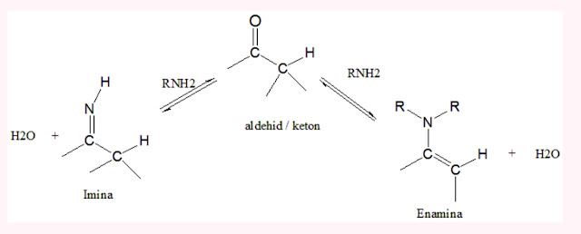 MODIFIKASI PADA GUGUS AMINE DAN IMINE