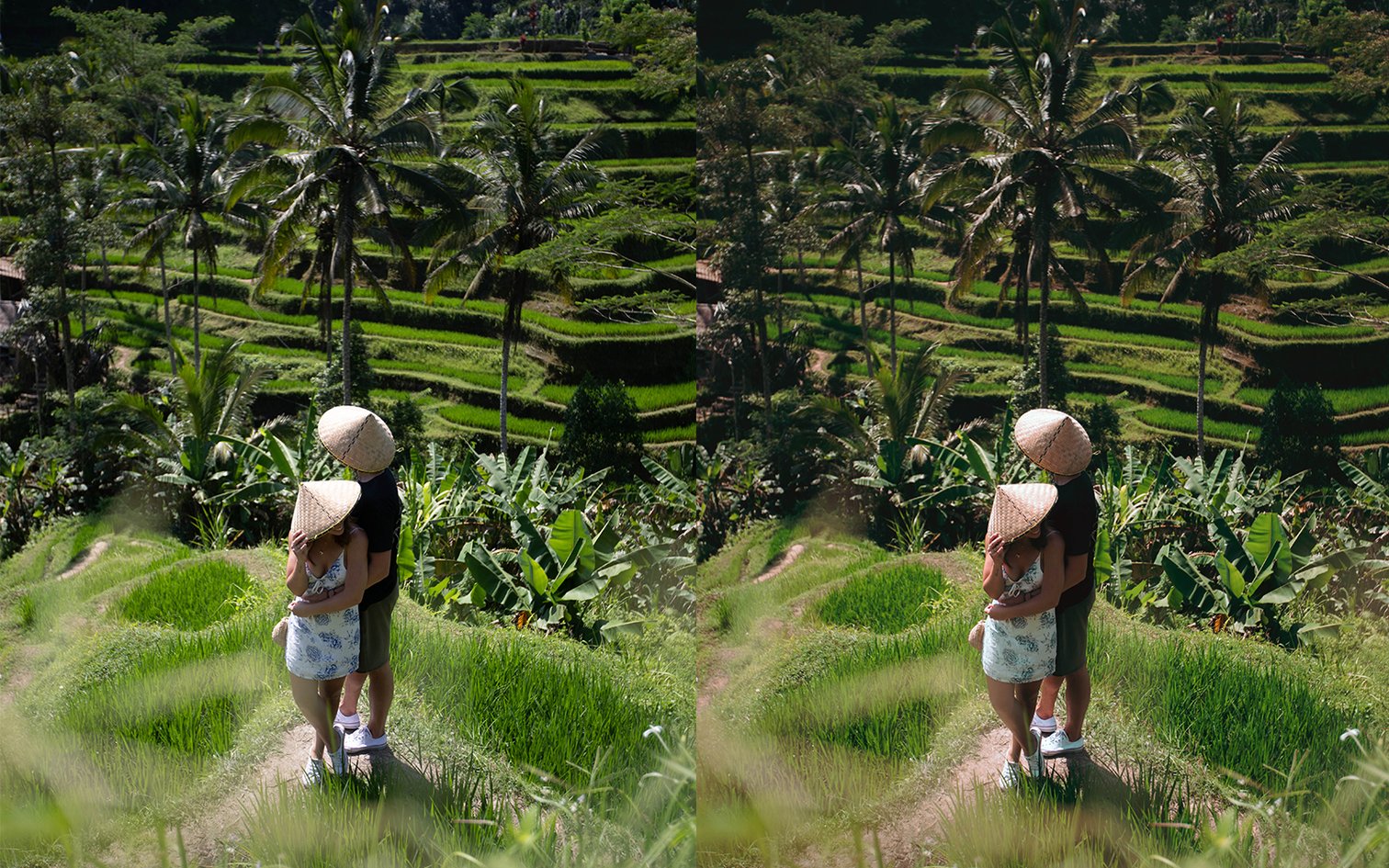Bộ Sưu Tập Preset Tone Màu Đất Tuyệt Đẹp – Earth Collection Lightroom Presets (XMP, LR)