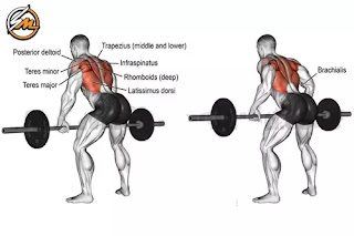7 Effective Exercises to Strengthen Your Back
