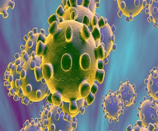 CoronaVirus: डरें नहीं, बिहार में भी खुल गया कोरोना जांच केंद्र, फोन या E-mail से करें संपर्क CoronaVirus: डरें नहीं, बिहार में भी खुल गया कोरोना जांच केंद्र, फोन या E-mail से करें संपर्क