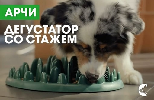 Музыка из рекламы Перфект Фит — Молодость питомца на долгие годы (2019) Перфект Фит