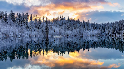 Screen background for free snow, winter sunset, forest, trees, lake, reflection