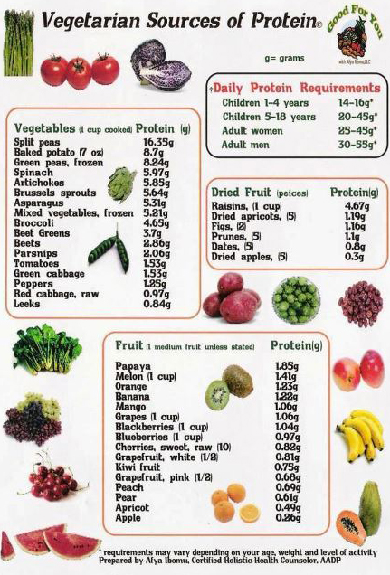 Vegetable Protein Sources Chart