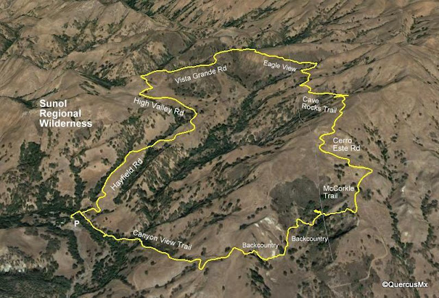 Ruta High View en Sunol Regional Wilderness