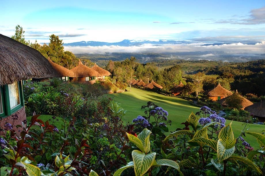 A World Renowned Birding Destination is Ambua Lodge, Papua New Guinea